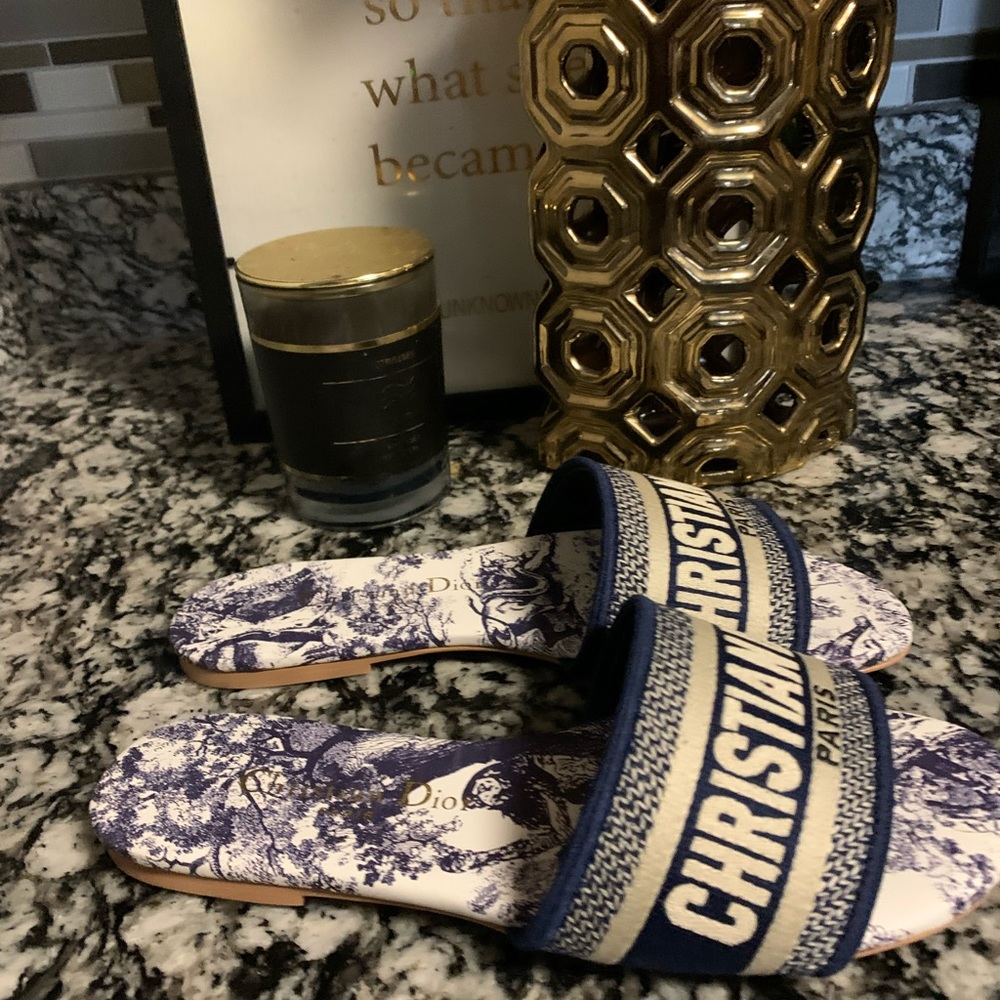 Dior slides